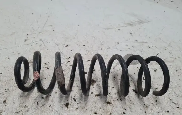 Renault Scenic II - Grand scenic II Rear coil spring