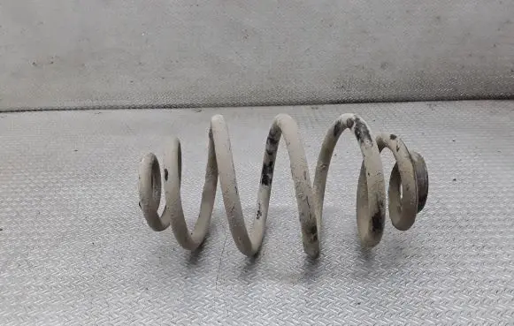Volkswagen PASSAT B5.5 Rear coil spring