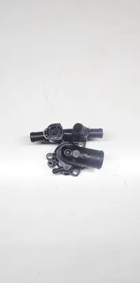 Thermostat/thermostat housing