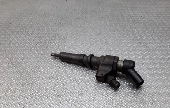 Citroen Berlingo Fuel injector 9652173780