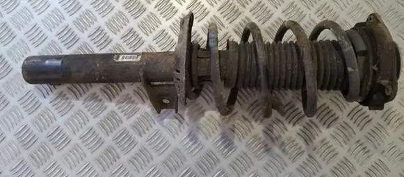 Volkswagen Golf V Front shock absorber/damper 1k0413031ad