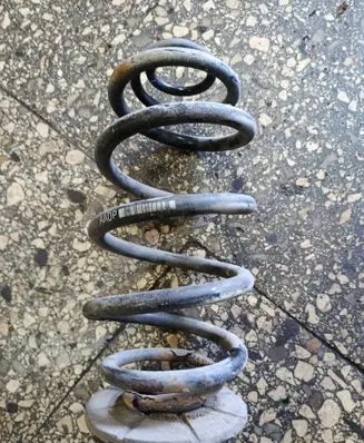 Rear coil spring