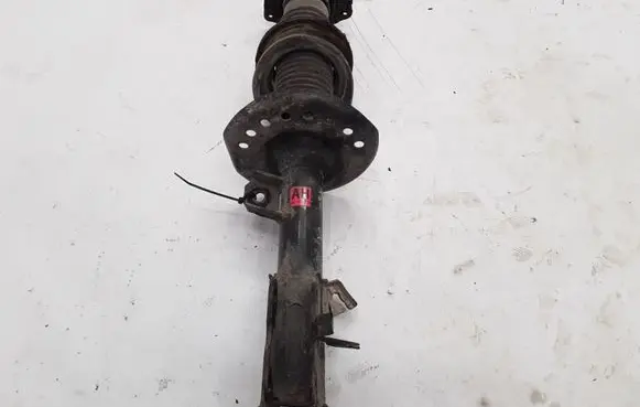 Renault Koleos I Front shock absorber/damper 54302JY01B