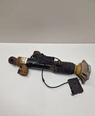 Rear shock absorber/damper