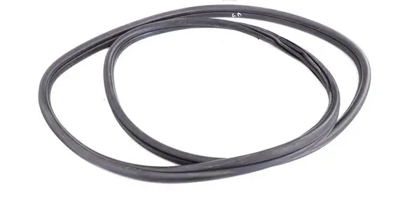 Volkswagen PASSAT B6 Rubber seal rear door 