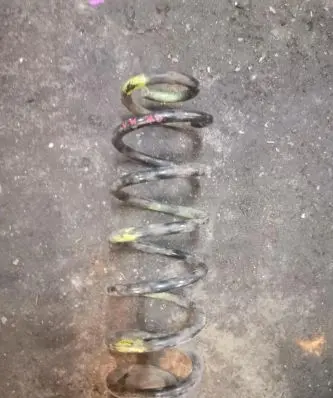 Volkswagen Golf V Rear coil spring