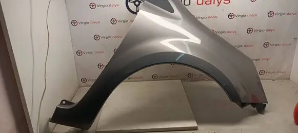 Renault Grand Modus Fender