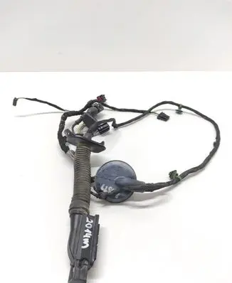 Rear door wiring loom