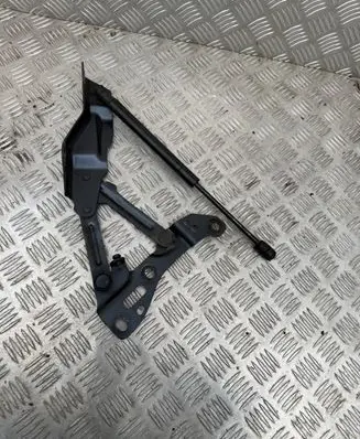 Tesla Model X Engine bonnet/hood hinges 1058041