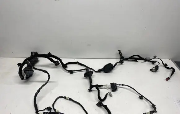 Ford Mustang VI Front door wiring loom FR3T14630AD