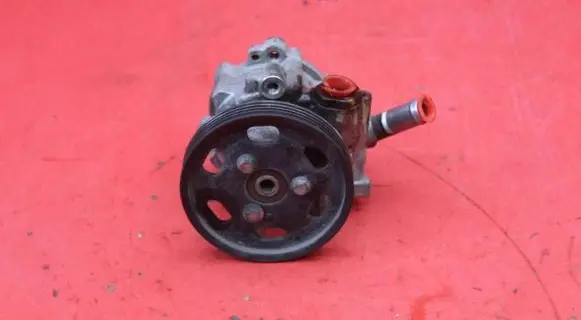 Dacia Sandero Power steering pump 491103834R