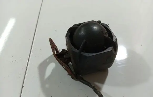 Toyota Yaris Alarm system siren 