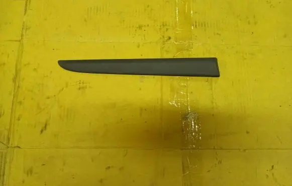 Renault Clio III Rear door trim (molding) 8200289933