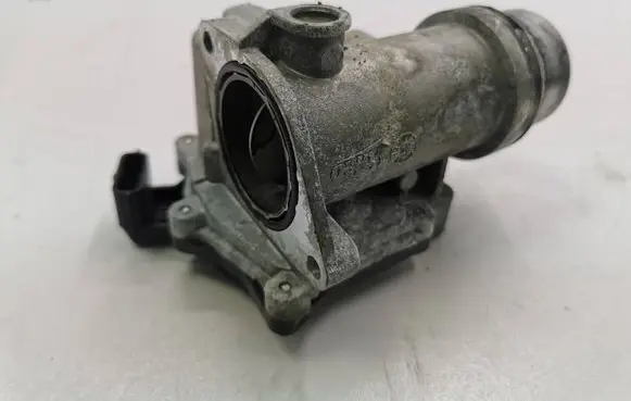 Nissan Qashqai Throttle valve 161A09794RB