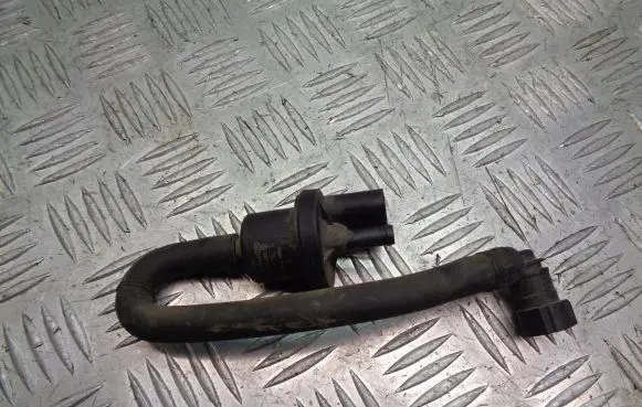Seat Ibiza III (6L) Vacuum valve 