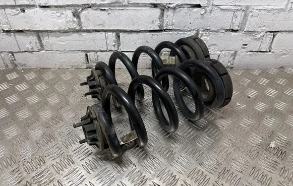 Rear coil spring
