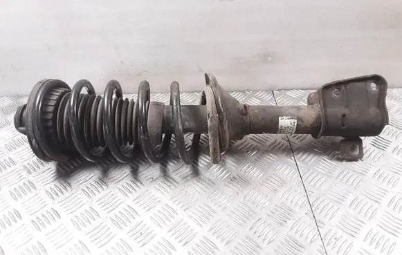 Land Rover Freelander Rear shock absorber with coil spring 