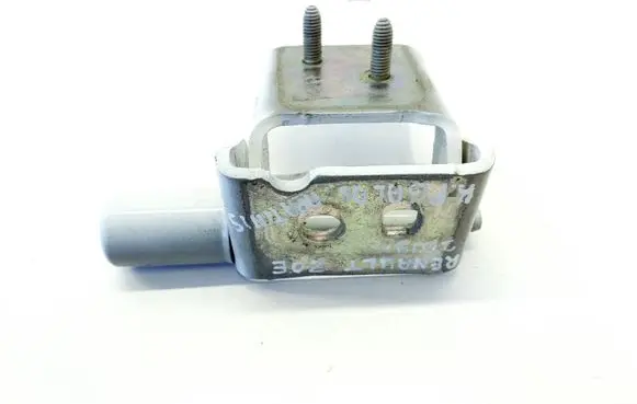 Rear door lower hinge