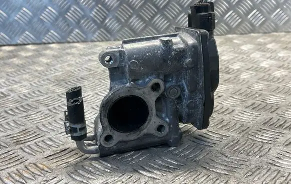 EGR valve