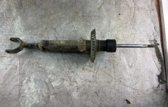 Volkswagen PASSAT B5 Front shock absorber/damper 3b0413031