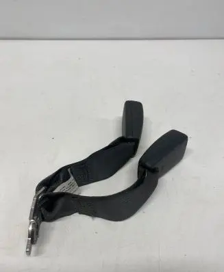 Dodge Challenger Rear seatbelt 1BY491DVAB