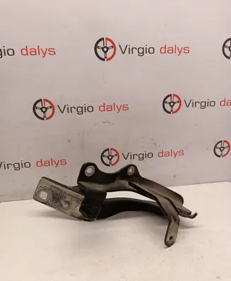 Chevrolet Captiva Tailgate/trunk/boot hinge
