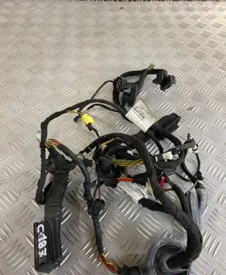 Front door wiring loom
