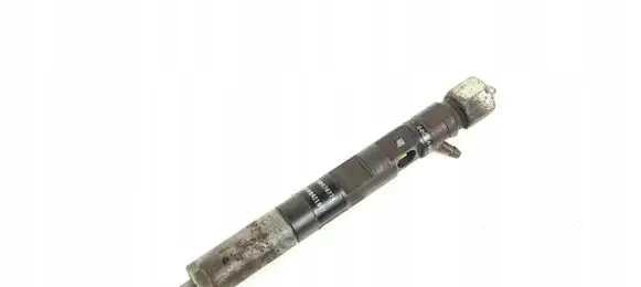 Renault Kangoo I Fuel injector EJBR05101D