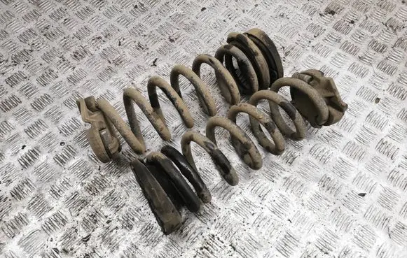 Rear coil spring
