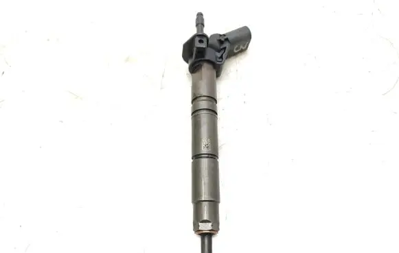 Mercedes-Benz S W221 Fuel injector A6420701387 0445115064