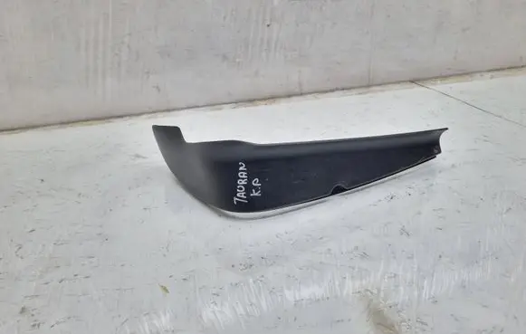 Rear/tail light trim molding