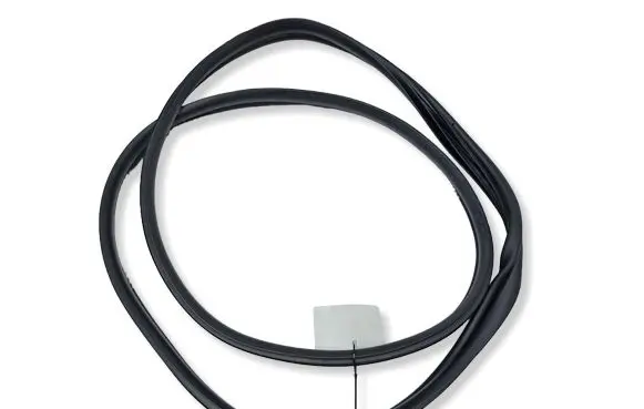 KIA Niro Rear door rubber seal (on body)