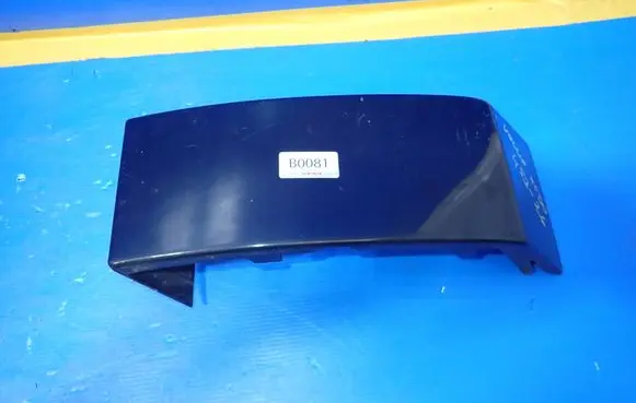 Rear/tail light trim molding