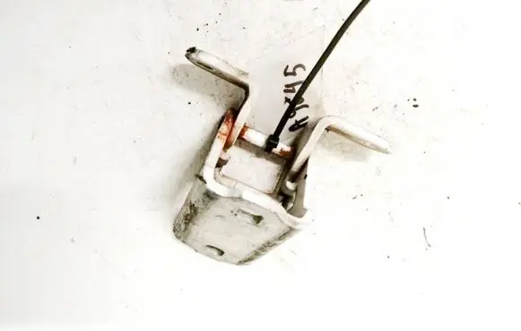 Opel Insignia A Rear door lower hinge es03a046574