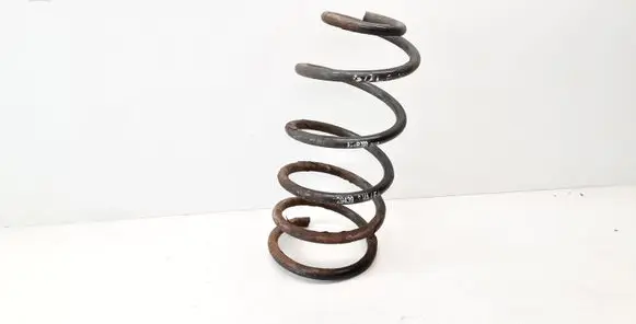 Front coil spring