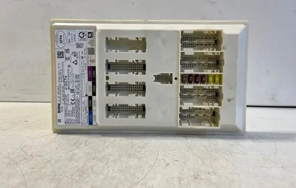 BMW i4 Central body control module 5B31359