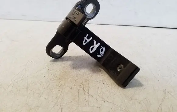 Rear door lower hinge