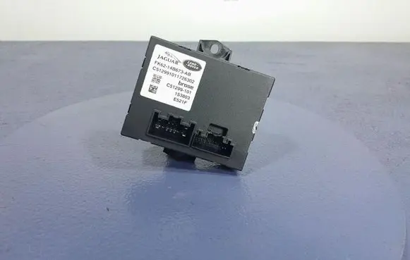 Land Rover Range Rover Sport L320 Other control units/modules FK62-14B673-AB