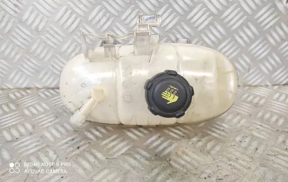 Fiat Talento Coolant expansion tank/reservoir 217101893R