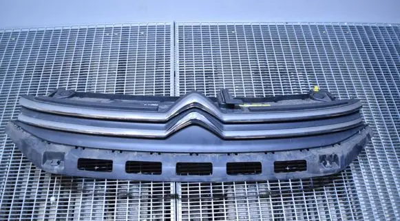 Citroen C3 Front grill 9812063477