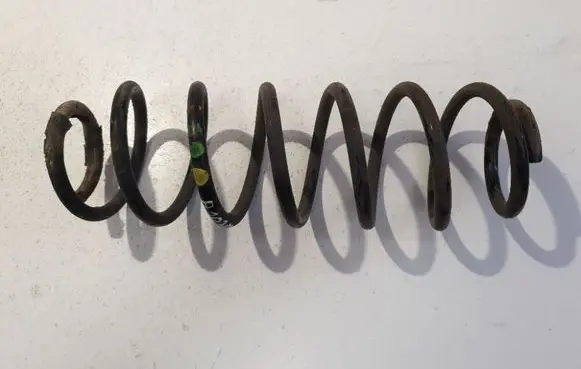 Rear coil spring
