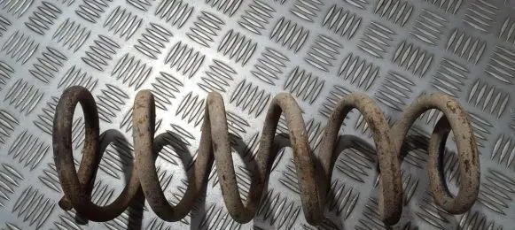 Peugeot 406 Rear coil spring
