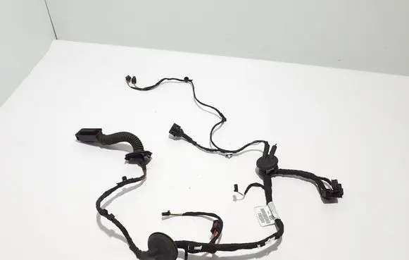 Other wiring loom