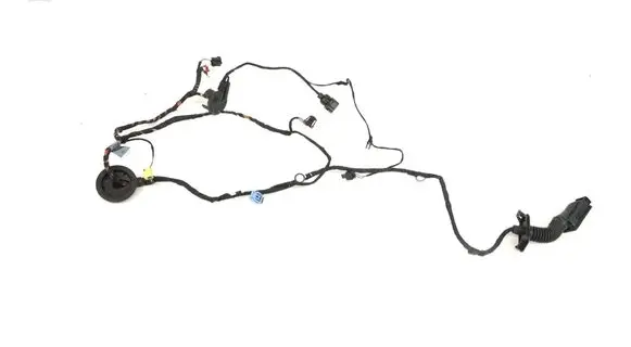 Audi TT TTS RS Mk3 8S Front door wiring loom 8S0971029M