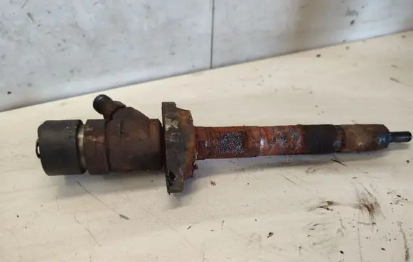 Citroen Jumpy Fuel injector