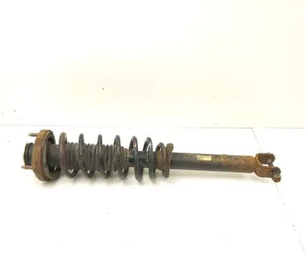 Chevrolet Epica Rear shock absorber with coil spring 96639690 7441255