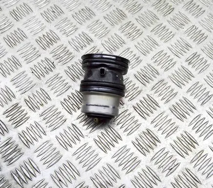 Porsche Panamera (970) Thermostat 94810603403