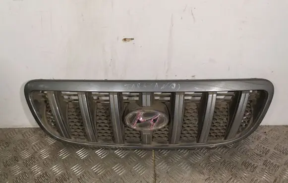 Hyundai Terracan Front grill