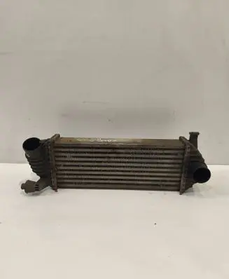 Renault Kangoo II Intercooler radiator 8200427469 K6782
