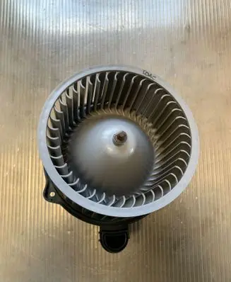 Hyundai Santa Fe Heater fan/blower F00S3B2431